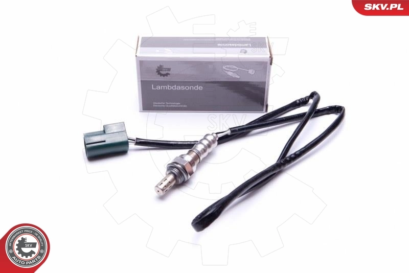 Oxygen Sensor